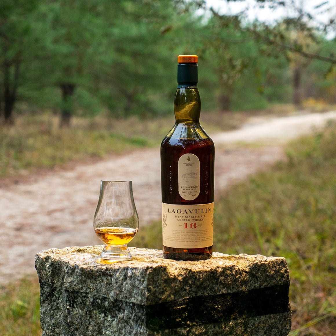 Lagavulin 16 Year Old — photo 2